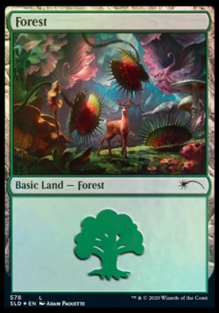 Forest (Predatory) (578) [Secret Lair Drop Promos] | Exor Games Bridgewater