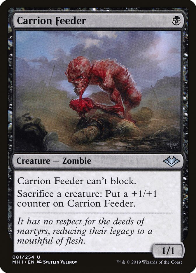 Carrion Feeder [Modern Horizons] | Exor Games Bridgewater