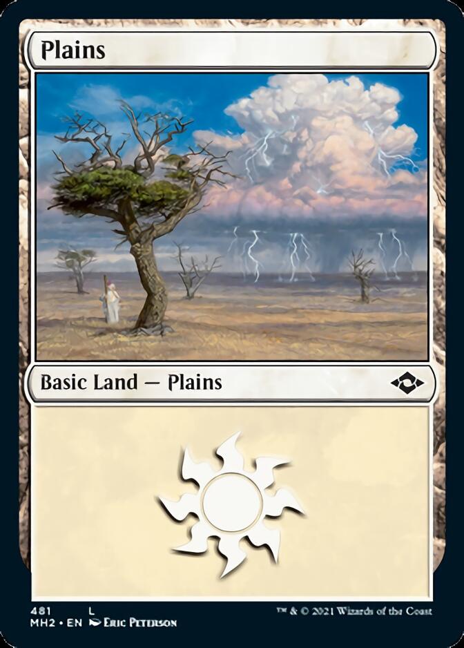 Plains (481) (Foil Etched) [Modern Horizons 2] | Exor Games Bridgewater