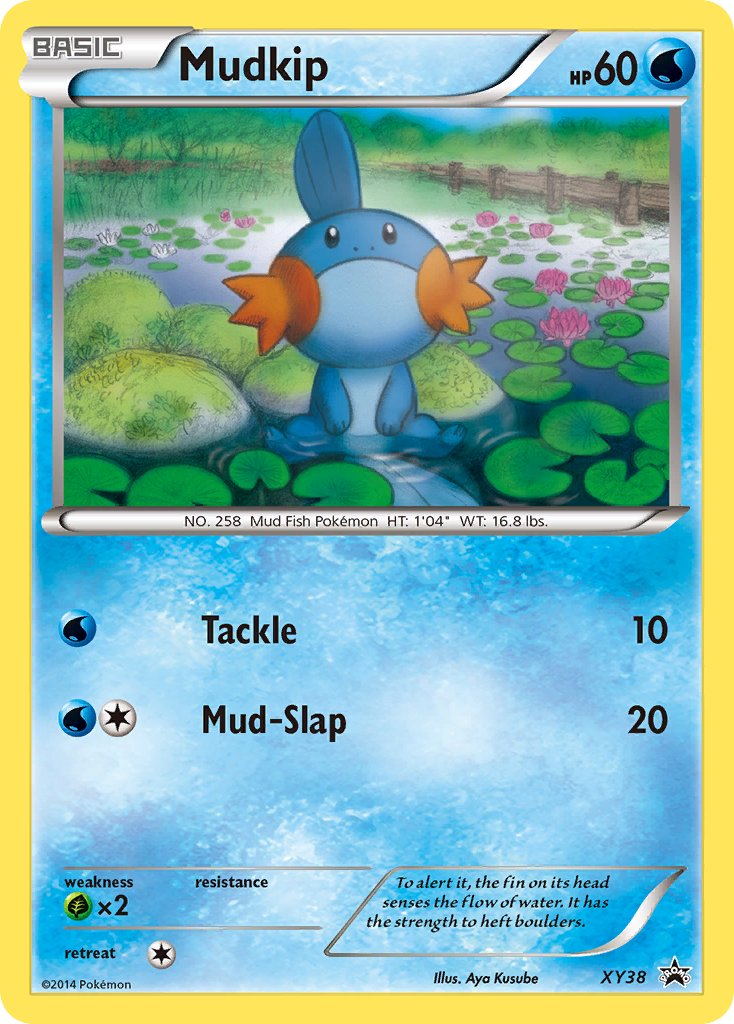 Mudkip (XY38) [XY: Black Star Promos] | Exor Games Bridgewater