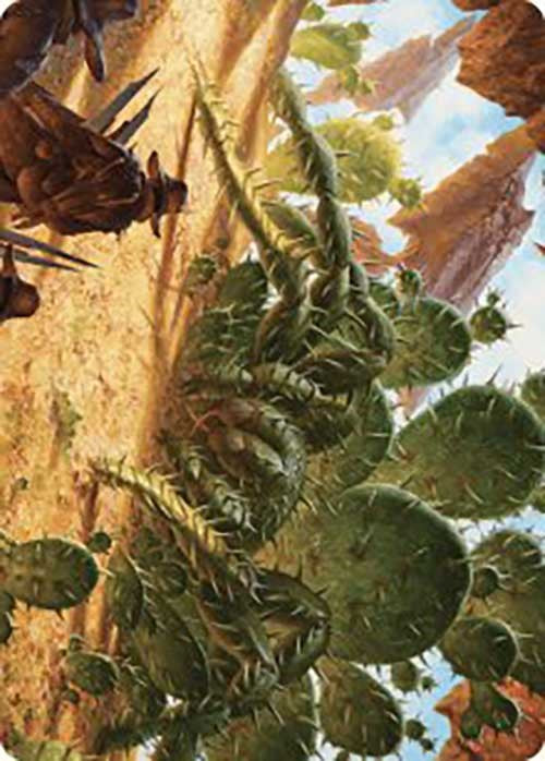 Cactarantula Art Card [Outlaws of Thunder Junction Art Series] | Exor Games Bridgewater