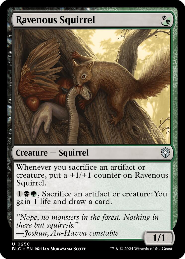 Ravenous Squirrel [Bloomburrow Commander] | Exor Games Bridgewater