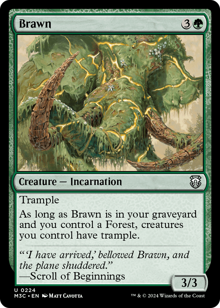 Brawn [Modern Horizons 3 Commander] | Exor Games Bridgewater