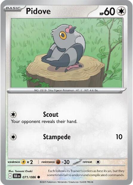 Pidove (071/086) [Scarlet & Violet: Black Bolt] | Exor Games Bridgewater