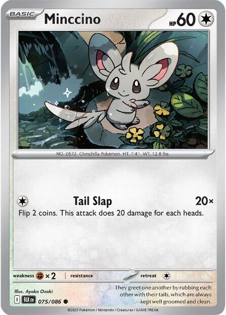 Minccino (075/086) [Scarlet & Violet: Black Bolt] | Exor Games Bridgewater