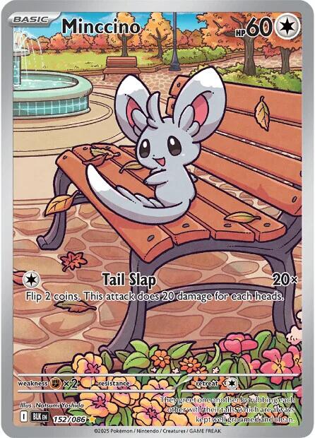 Minccino (152/086) [Scarlet & Violet: Black Bolt] | Exor Games Bridgewater