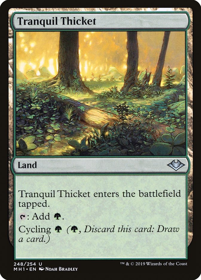 Tranquil Thicket [Modern Horizons] | Exor Games Bridgewater