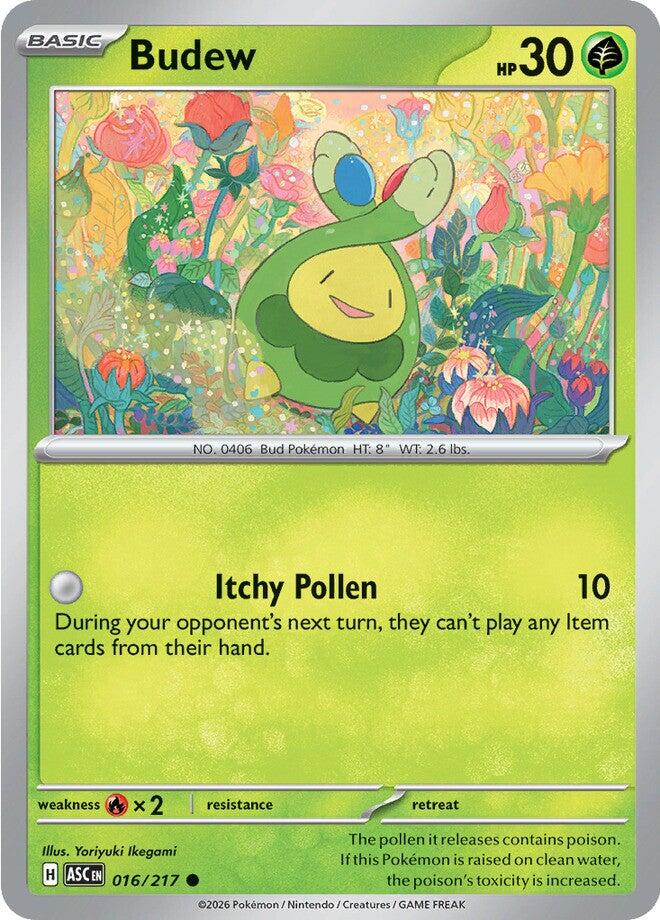 Budew (016/217) [Mega Evolution: Ascended Heroes] | Exor Games Bridgewater