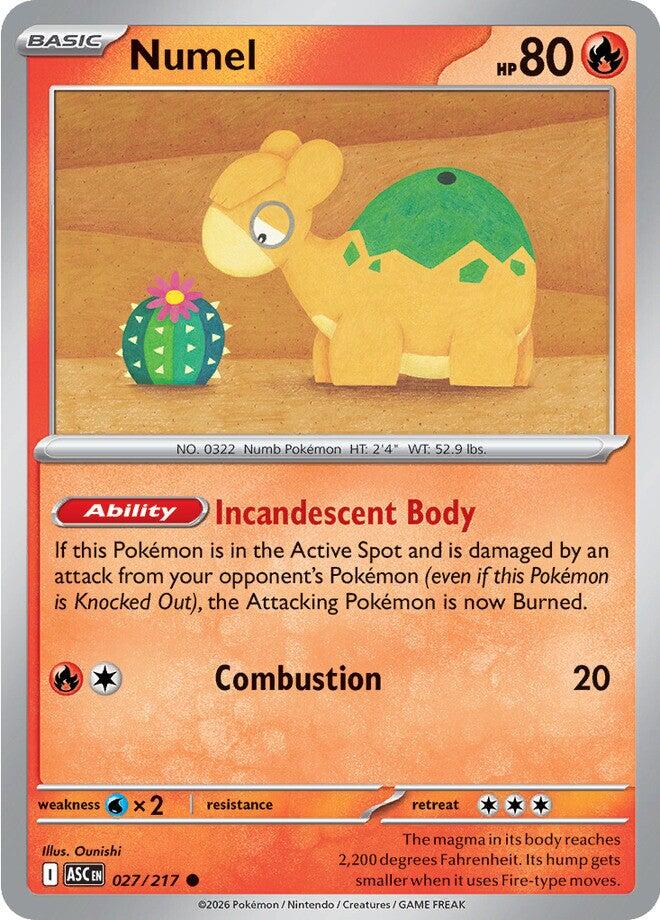 Numel (027/217) [Mega Evolution: Ascended Heroes] | Exor Games Bridgewater