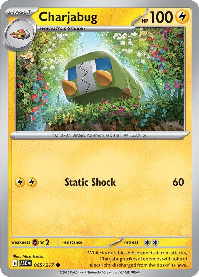 Charjabug (065/217) [Mega Evolution: Ascended Heroes] | Exor Games Bridgewater