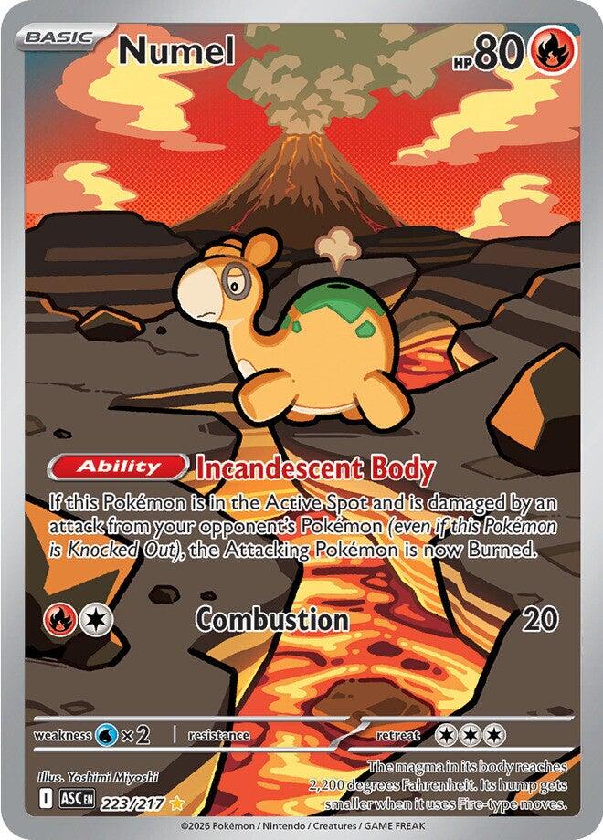 Numel (223/217) [Mega Evolution: Ascended Heroes] | Exor Games Bridgewater