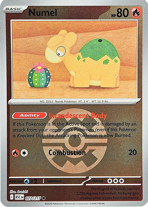 Numel (027/217) (Quick Ball) [Mega Evolution: Ascended Heroes] | Exor Games Bridgewater