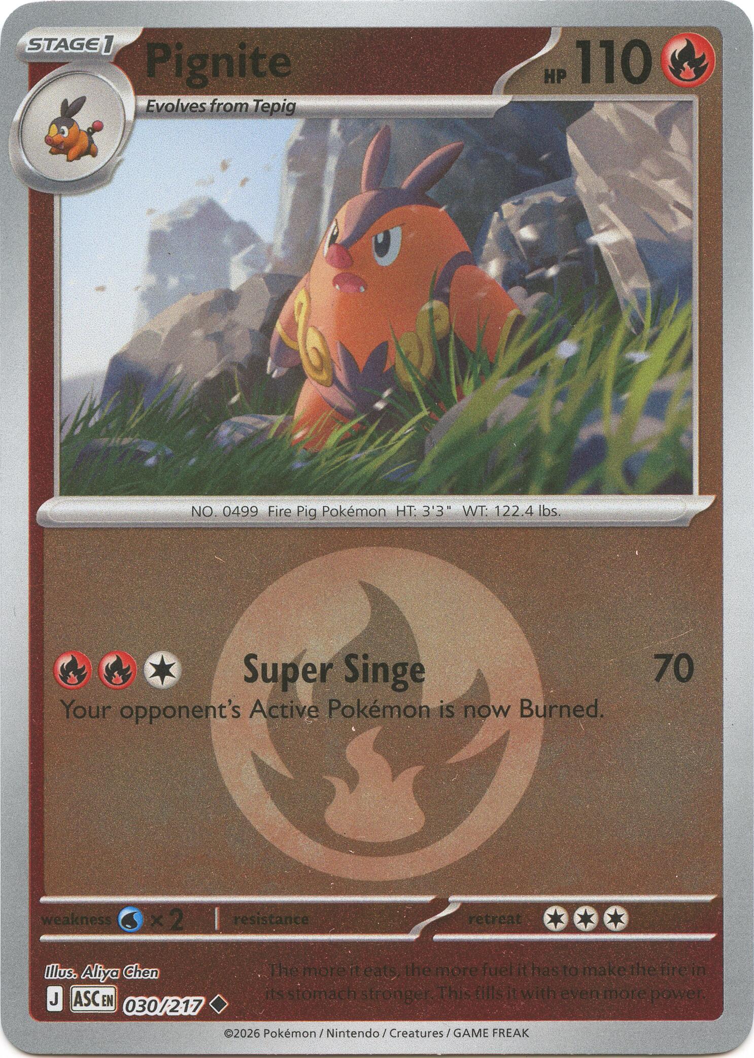 Pignite (030/217) (Energy Symbol Pattern) [Mega Evolution: Ascended Heroes] | Exor Games Bridgewater