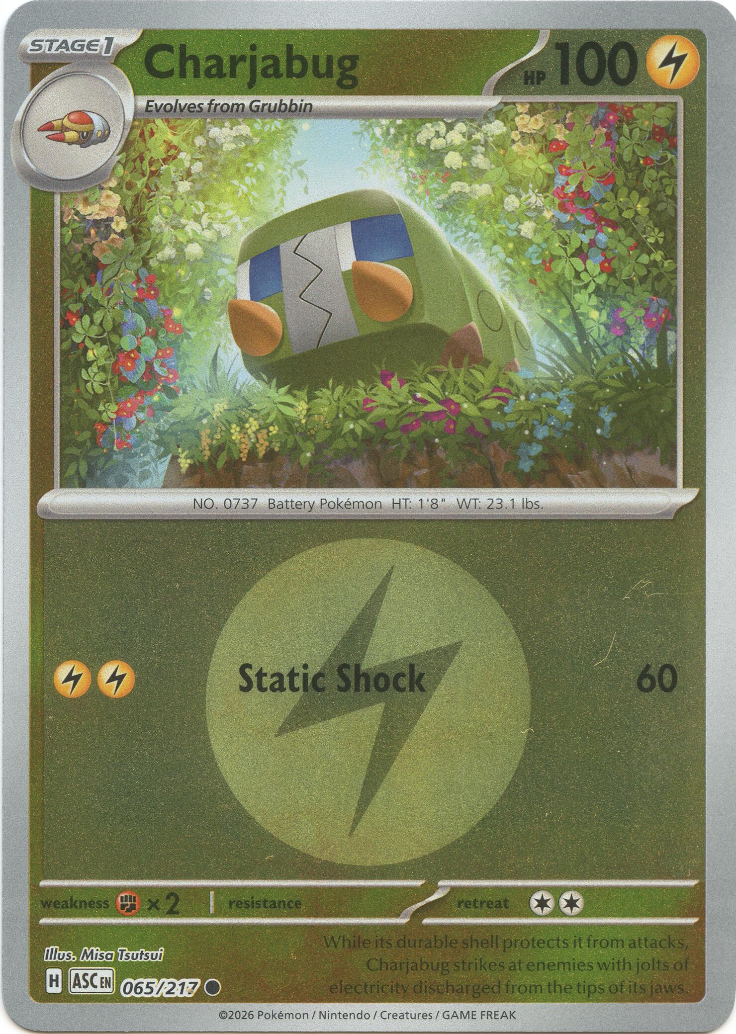 Charjabug (065/217) (Energy Symbol Pattern) [Mega Evolution: Ascended Heroes] | Exor Games Bridgewater