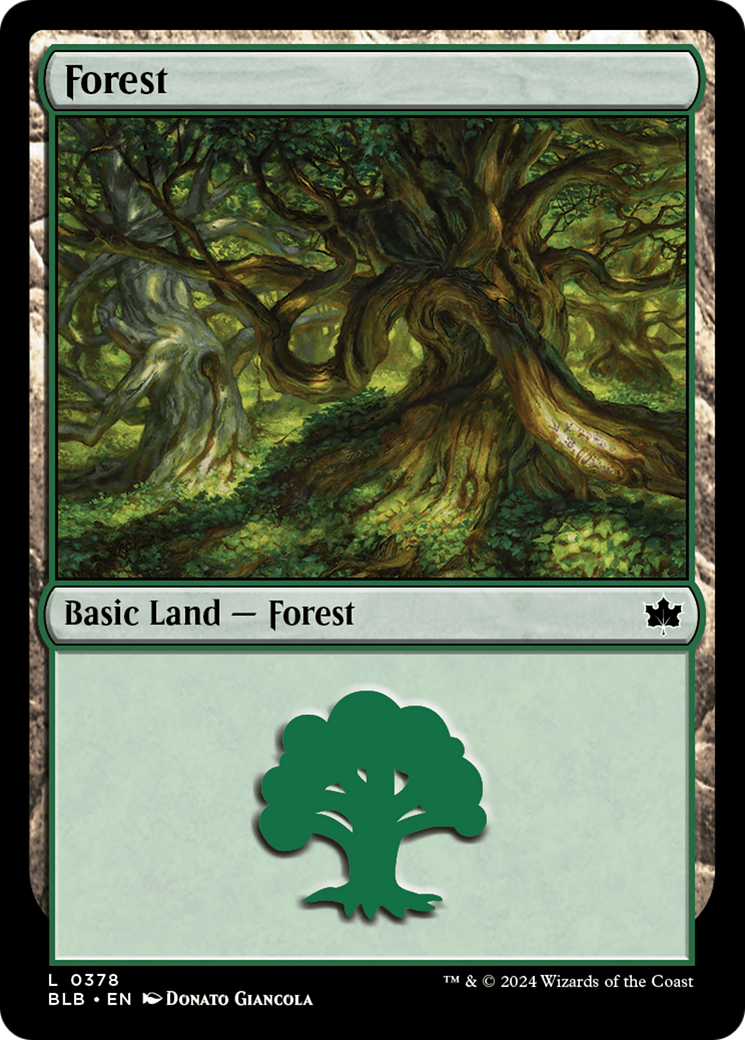 Forest (0378) [Bloomburrow] | Exor Games Bridgewater