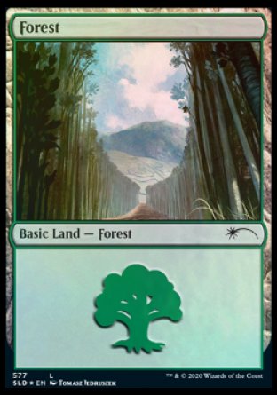 Forest (Walls) (577) [Secret Lair Drop Promos] | Exor Games Bridgewater