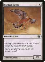 Suntail Hawk (Oversized) [Eighth Edition Box Topper] | Exor Games Bridgewater