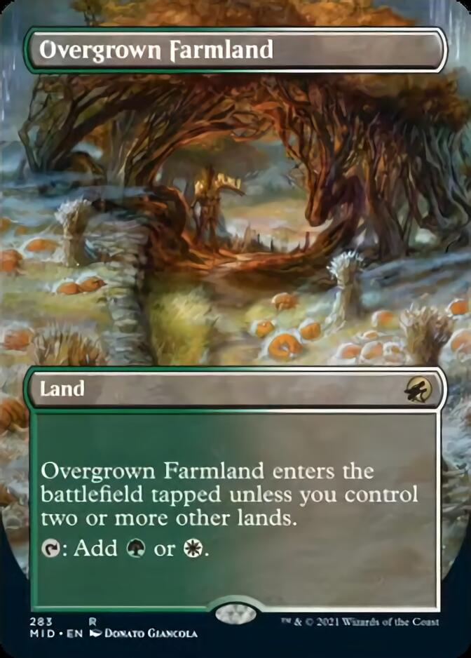 Overgrown Farmland (Borderless Alternate Art) [Innistrad: Midnight Hunt] | Exor Games Bridgewater