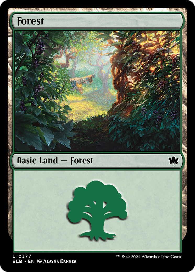 Forest (0377) [Bloomburrow] | Exor Games Bridgewater