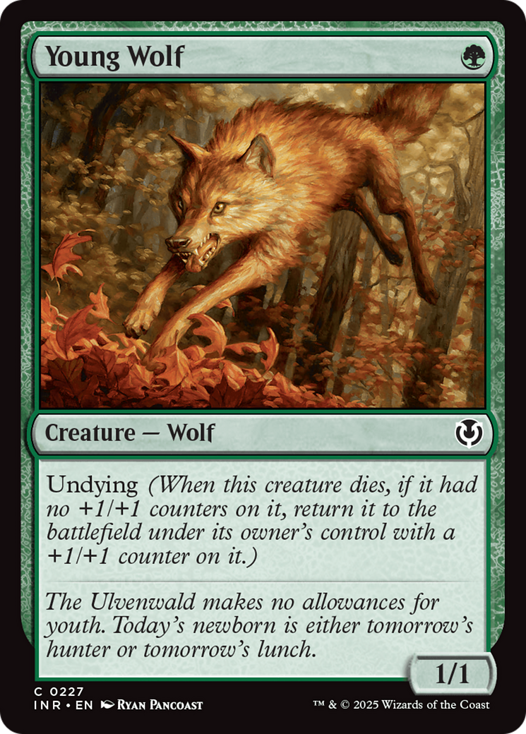 Young Wolf [Innistrad Remastered] | Exor Games Bridgewater