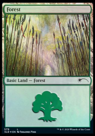 Forest (Elves) (579) [Secret Lair Drop Promos] | Exor Games Bridgewater