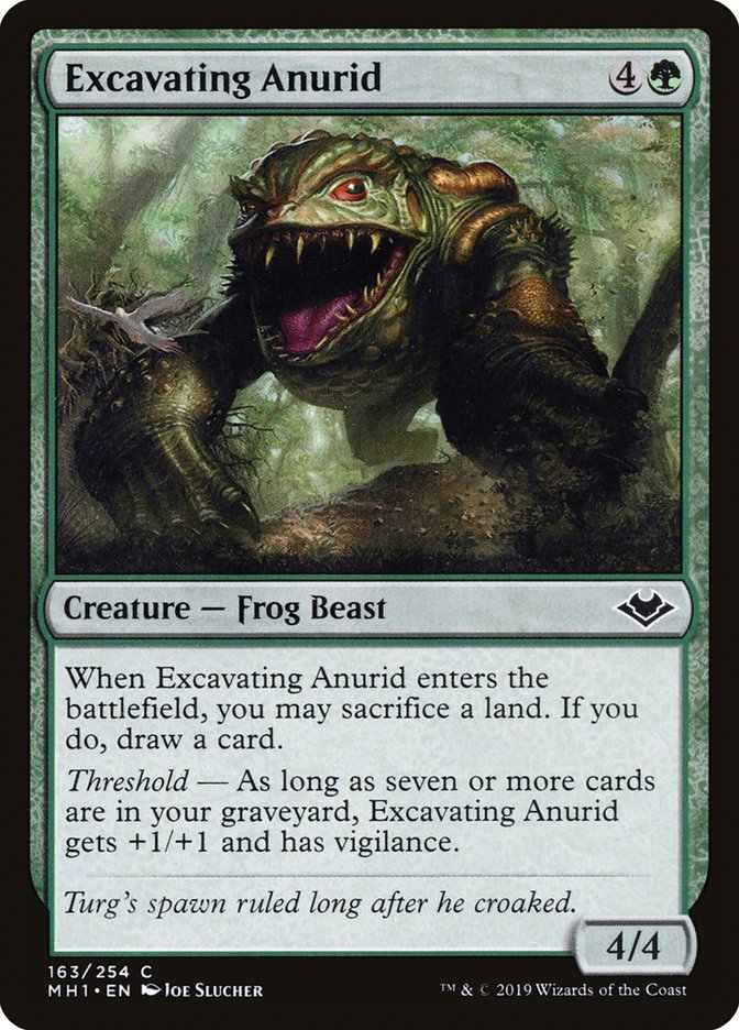 Excavating Anurid [Modern Horizons] | Exor Games Bridgewater