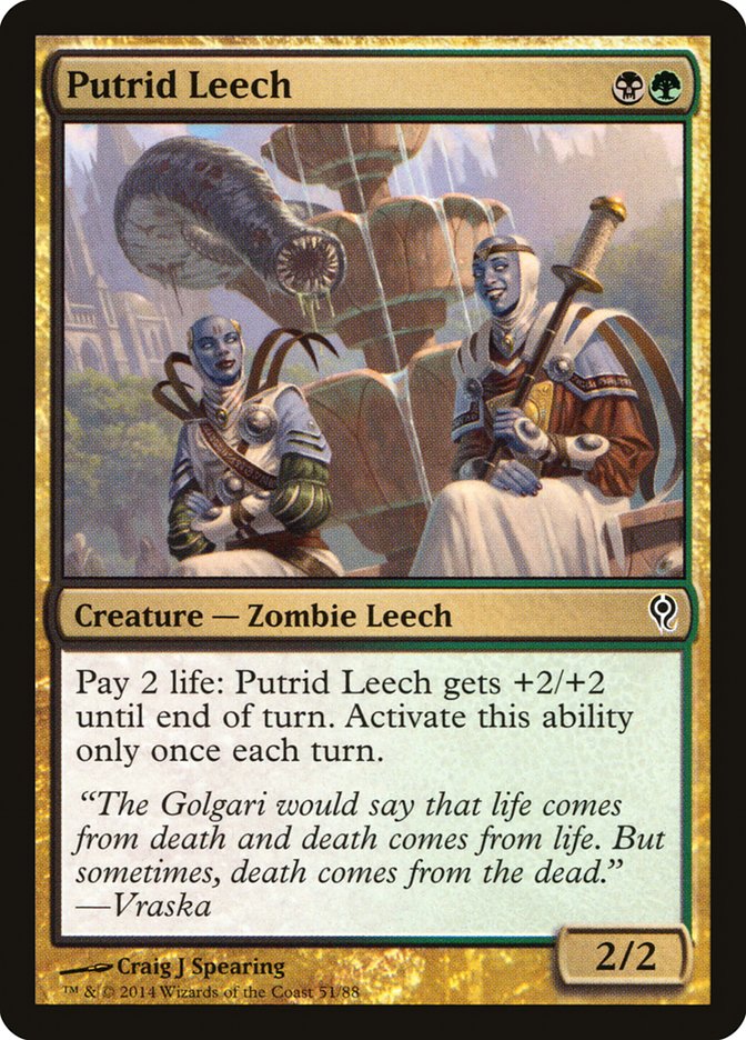 Putrid Leech [Duel Decks: Jace vs. Vraska] | Exor Games Bridgewater