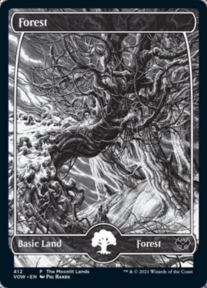 Forest (The Moonlit Lands) (Foil Etched) [Innistrad: Crimson Vow Promos] | Exor Games Bridgewater