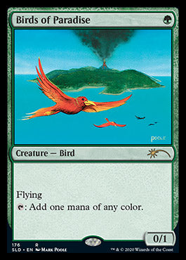 Birds of Paradise (176) [Secret Lair Drop Series] | Exor Games Bridgewater