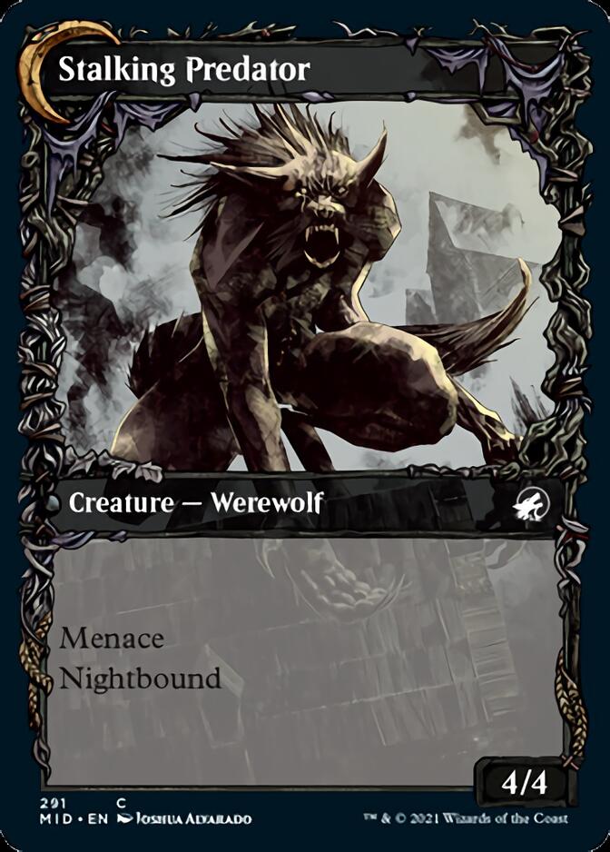 Shady Traveler // Stalking Predator (Showcase Equinox) [Innistrad: Midnight Hunt] | Exor Games Bridgewater