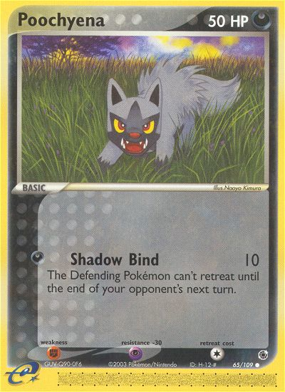 Poochyena (65/109) [EX: Ruby & Sapphire] | Exor Games Bridgewater