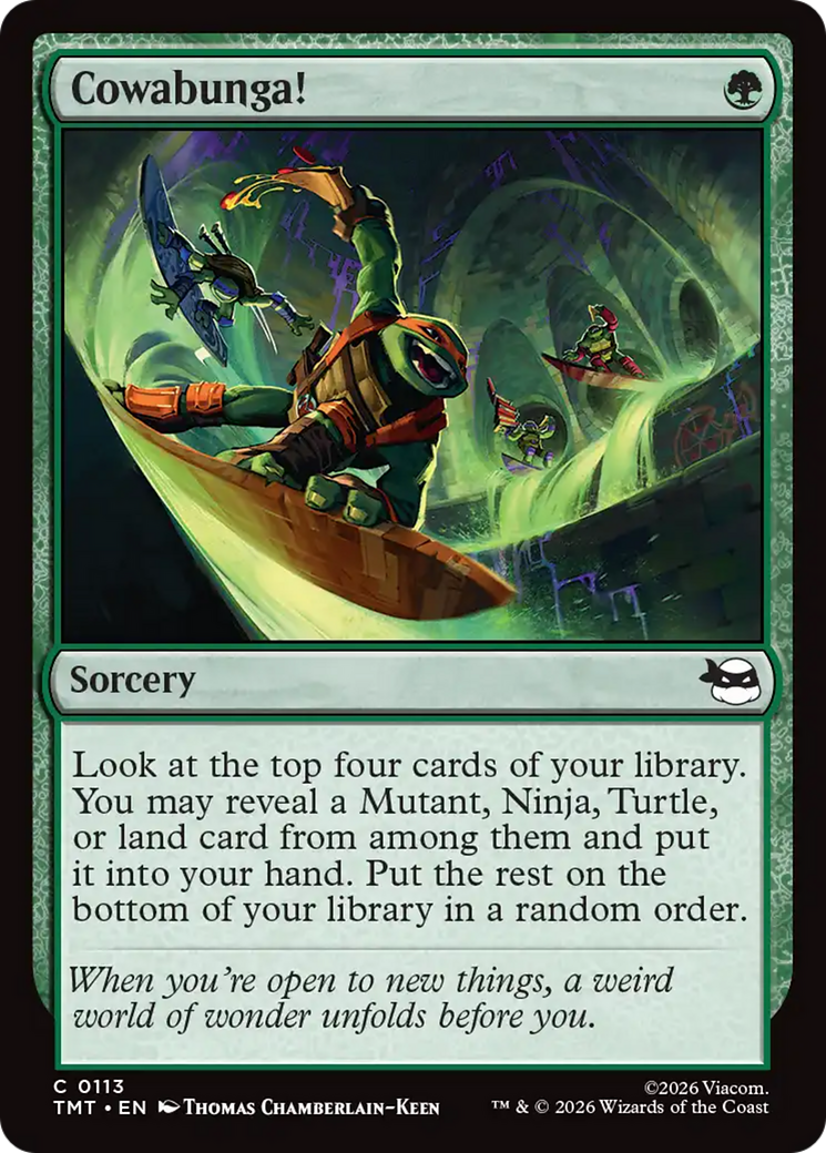 Cowabunga! [Teenage Mutant Ninja Turtles] | Exor Games Bridgewater