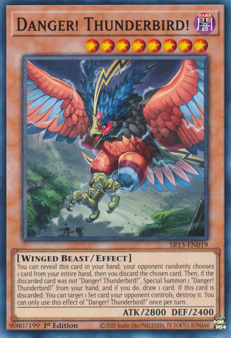 Danger! Thunderbird! [SR13-EN019] Common | Exor Games Bridgewater