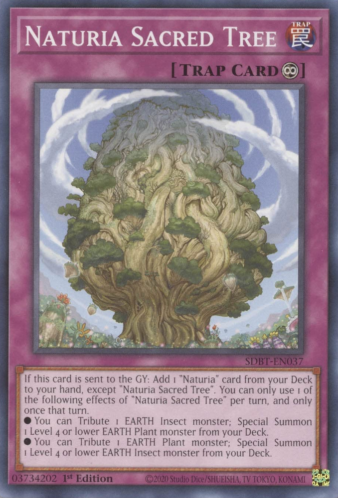 Naturia Sacred Tree [SDBT-EN037] Common | Exor Games Bridgewater