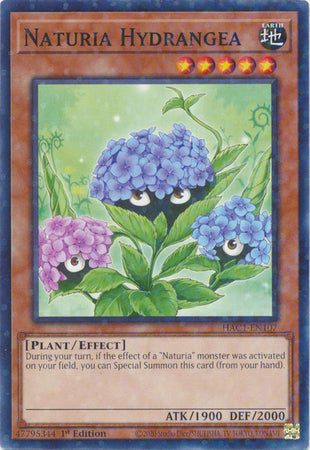 Naturia Hydrangea (Duel Terminal) [HAC1-EN107] Common | Exor Games Bridgewater
