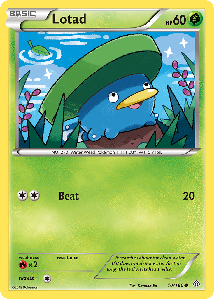 Lotad (10/160) [XY: Primal Clash] | Exor Games Bridgewater