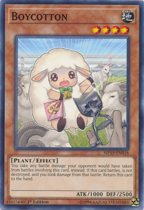 Boycotton [MP19-EN018] Common | Exor Games Bridgewater