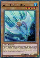 White Stingray [CYHO-EN096] Rare | Exor Games Bridgewater