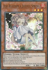 Ash Blossom & Joyous Spring [DUDE-EN003] Ultra Rare | Exor Games Bridgewater