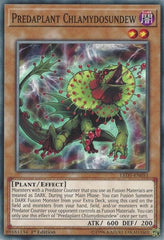 Predaplant Chlamydosundew [LED5-EN051] Common | Exor Games Bridgewater