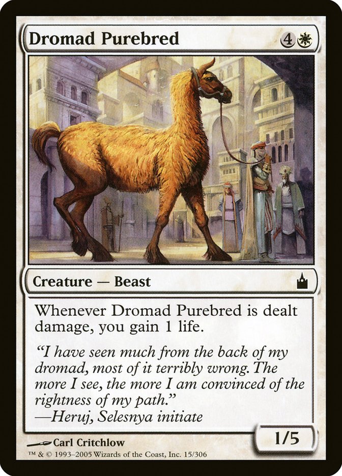 Dromad Purebred [Ravnica: City of Guilds] | Exor Games Bridgewater