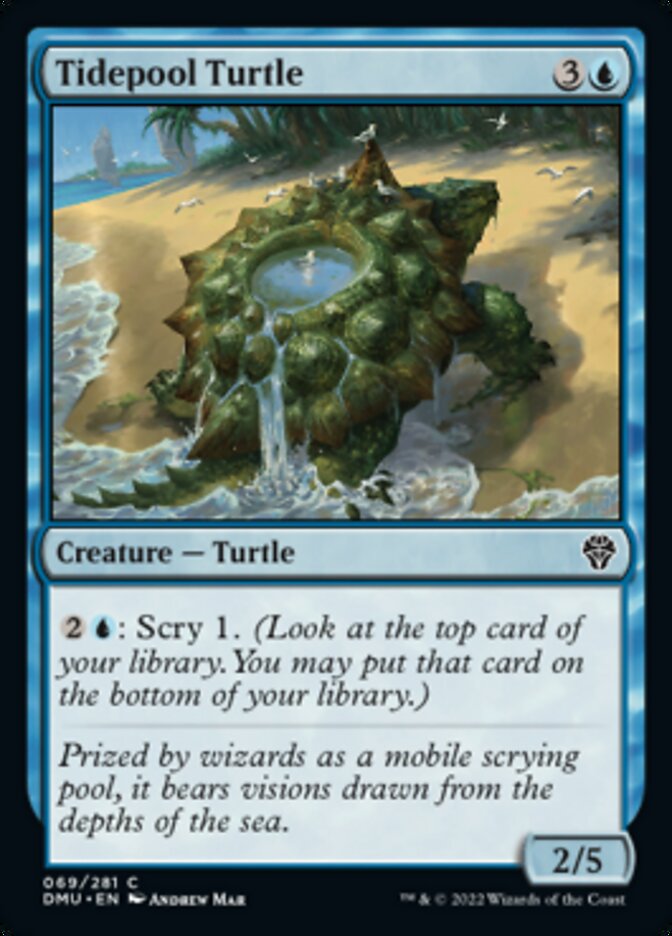 Tidepool Turtle [Dominaria United] | Exor Games Bridgewater