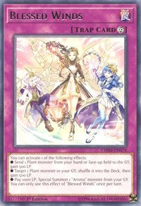 Blessed Winds [CHIM-EN074] Rare | Exor Games Bridgewater