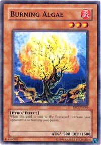 Burning Algae [DR2-EN063] Common | Exor Games Bridgewater