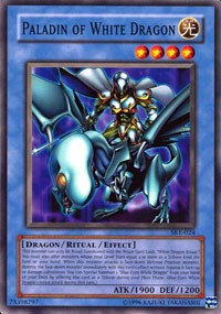 Paladin of White Dragon [SKE-024] Common | Exor Games Bridgewater