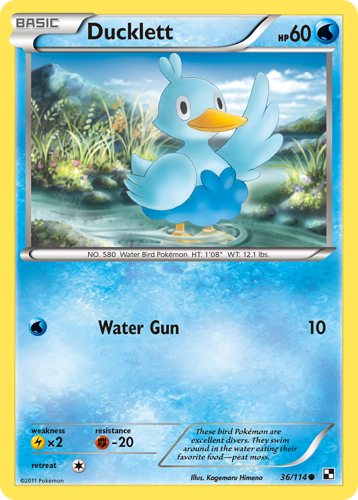 Ducklett (36/114) [Black & White: Base Set] | Exor Games Bridgewater