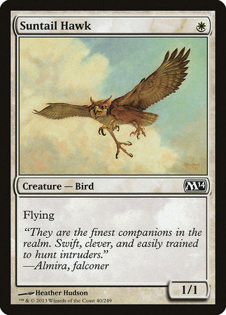 Suntail Hawk [Magic 2014] | Exor Games Bridgewater