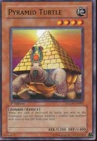 Pyramid Turtle [SDZW-EN007] Common | Exor Games Bridgewater