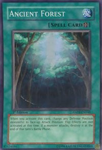 Ancient Forest [ANPR-EN048] Super Rare | Exor Games Bridgewater