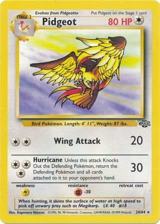 Pidgeot (24/64) [Jungle Unlimited] | Exor Games Bridgewater